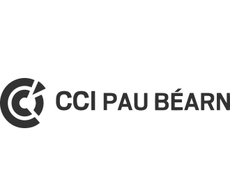 Logo client : CCI Pau Béarn